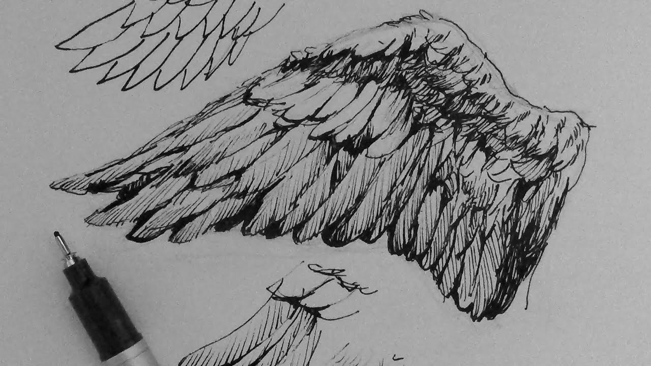1280x720 Pen Ink Drawing Tutorials How To Draw Wings - Ink Drawing