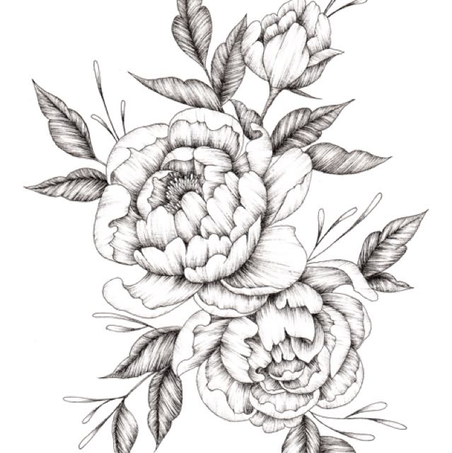 639x640 Peony Ink Drawing, Design Craft, Artworks On Carousell - Ink Drawing