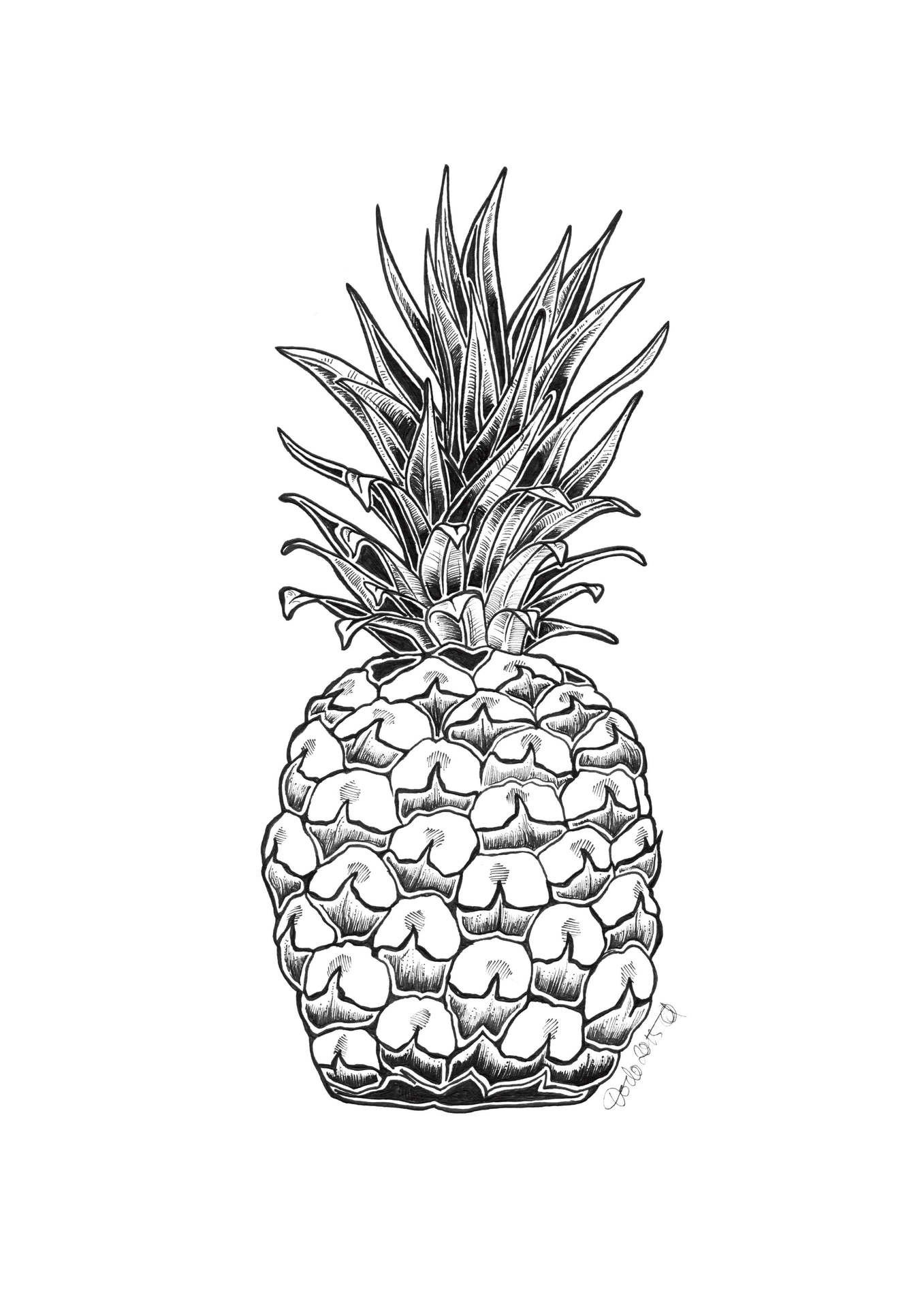 1357x1920 Pineapple Ink Drawing Print - Ink Drawing