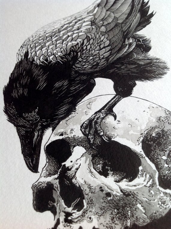 570x763 Raven Skull Original Unique Ink Drawing Etsy - Ink Drawing