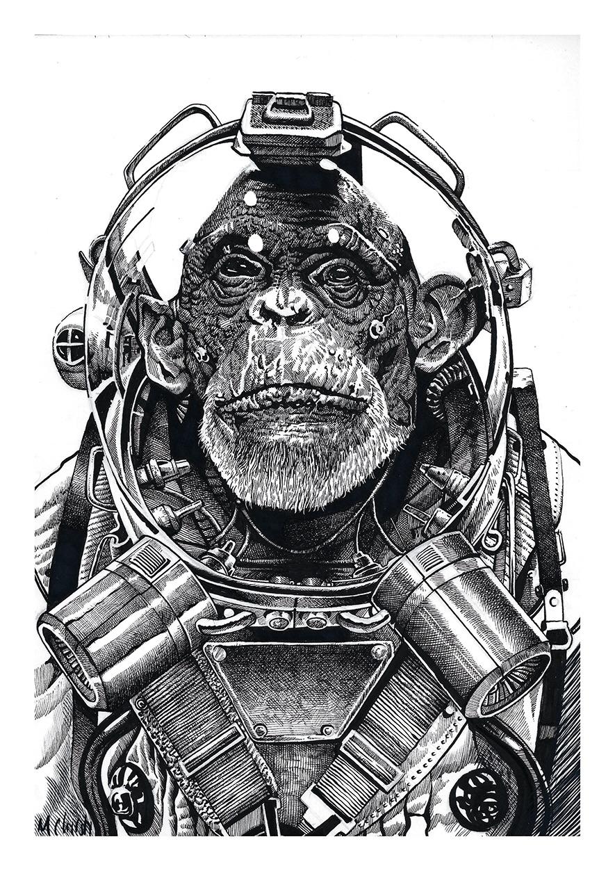 885x1253 Space Chimp, Ink Drawing, Art - Ink Drawing