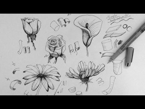480x360 Pen Ink Drawing Tutorial How To Draw Flowers Part Steemit - Ink Drawing Tutorial