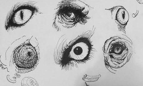 480x289 Pen Ink Drawing Tutorials, How To Draw Realistic Animal Eyes - Ink Drawing Tutorial
