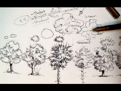 480x360 Pen Ink Drawing Tutorials How To Draw Trees - Ink Drawing Tutorial