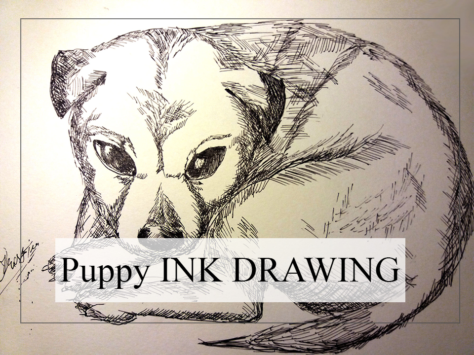960x720 Puppy Drawing Sketch - Ink Drawing Tutorial