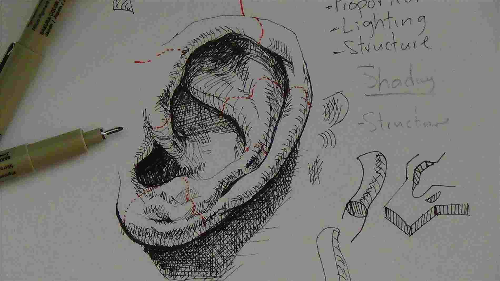 1899x1068 A Nose Pen Realistic Drawing Tutorials U Ink Drawing Tutorials How - Ink Drawing Tutorial