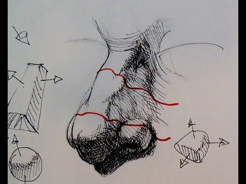 480x360 Pen Ink Drawing Tutorials How To Draw A Realistic Nose - Ink Drawing Tutorial