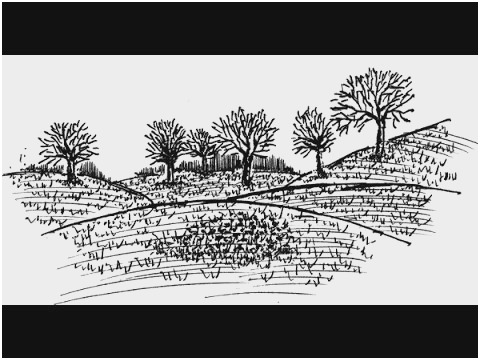 480x360 ink drawing tutorial best pen ink drawing tutorial demo diy - Ink Drawing Tutorial