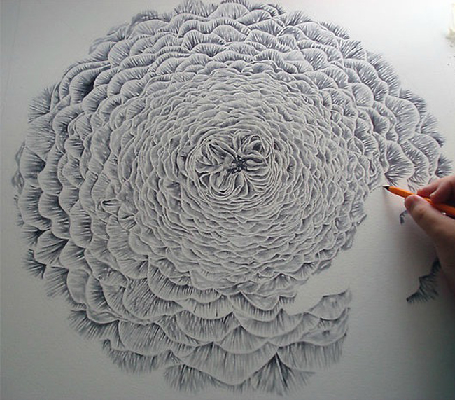 650x571 Flower Ink Drawing Fubiz Media - Ink Drawings Of Flowers