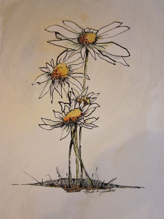 540x720 Flowers Pen Ink - Ink Drawings Of Flowers