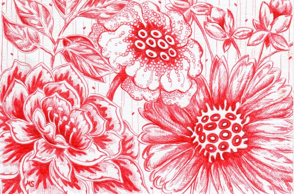 1000x662 Original Drawing Red Flower Illustration Pen And Ink Etsy - Ink Drawings Of Flowers