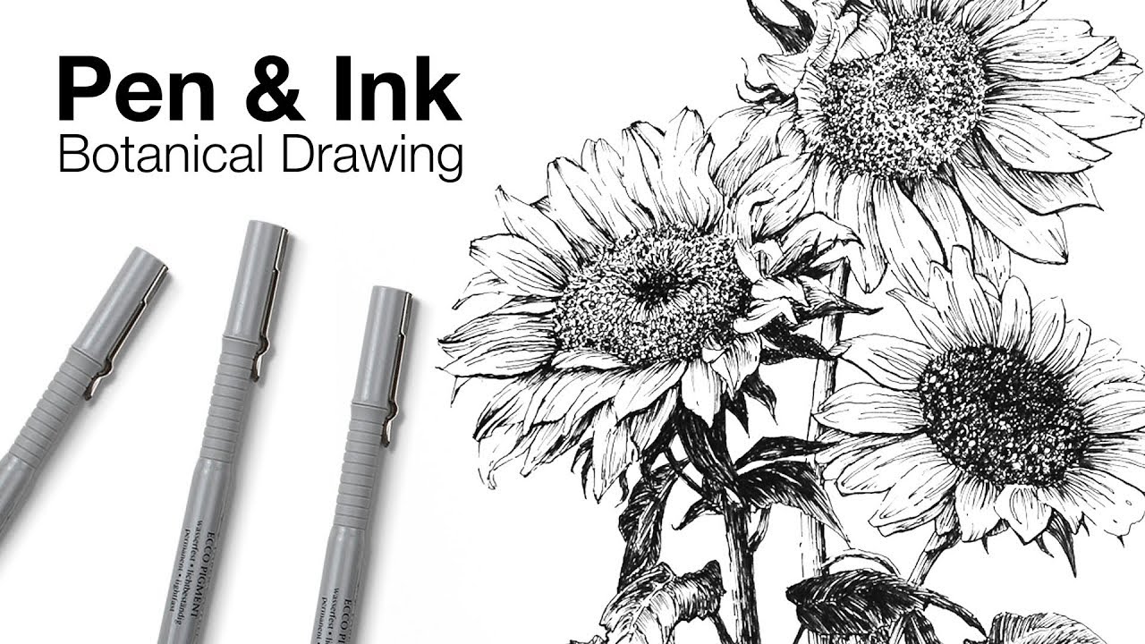1280x720 Pen And Ink Botanical Drawing - Ink Drawings Of Flowers