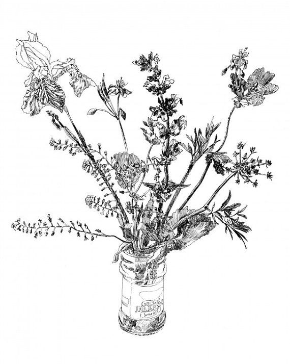 570x714 Pen And Ink Wild Flower Drawing Art Print Of Garden - Ink Drawings Of Flowers