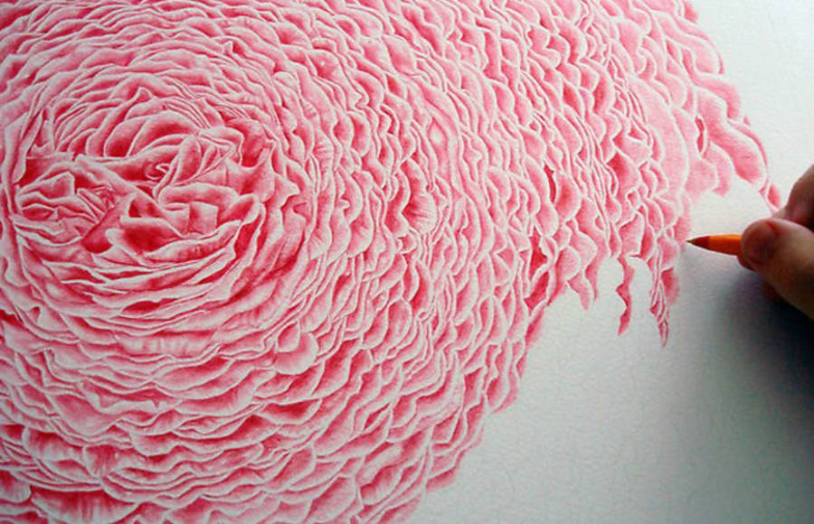 900x580 Tag Flower Ink Drawing Fubiz Media - Ink Drawings Of Flowers