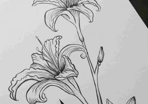 300x210 Crafty Rhcom Easy Pen And Ink Drawings - Ink Drawings Of Flowers