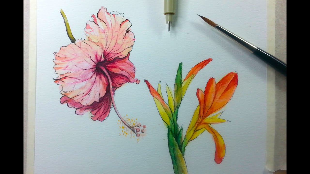 1280x720 Drawing Painting Hibiscus Flower With Ink Watercolor - Ink Drawings Of Flowers