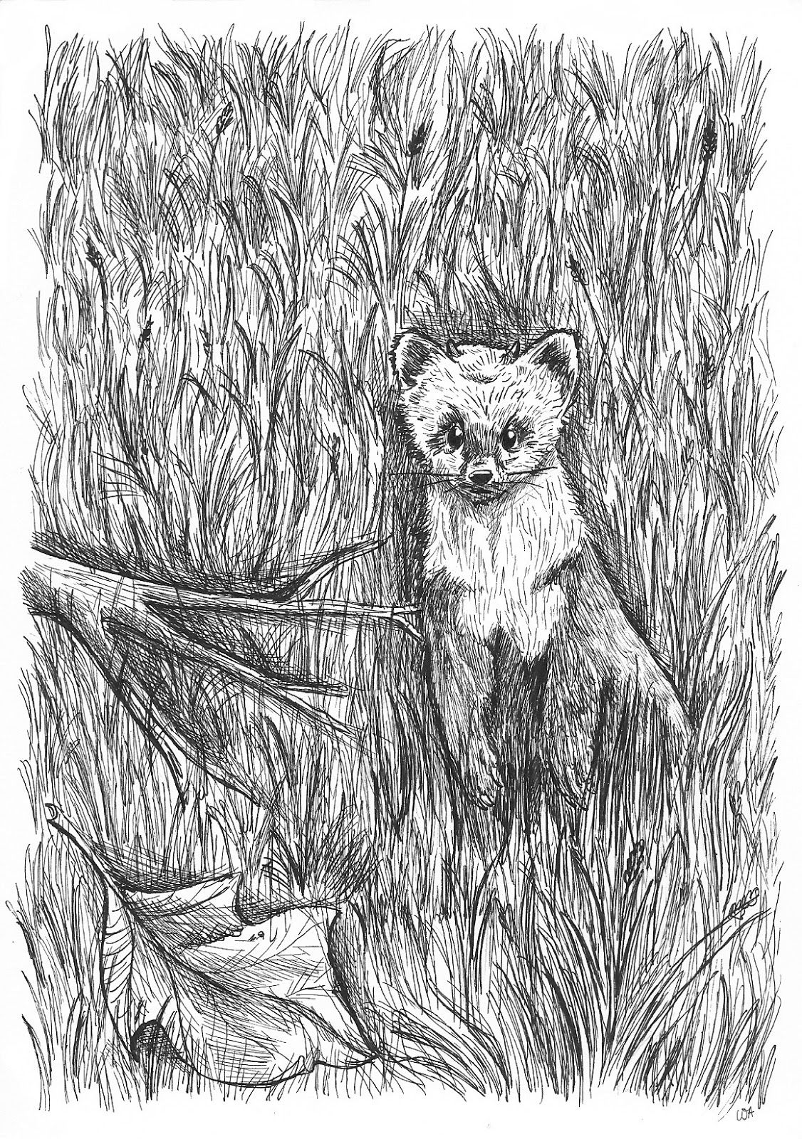 1126x1600 Gwin From The Book Inkheart My Illustrations Books, Fantasy - Ink Heart Drawing