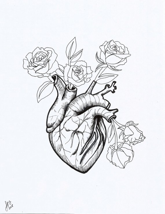 570x738 Heart And Flowers Art Print Printable Art Pen And Ink Etsy - Ink Heart Drawing