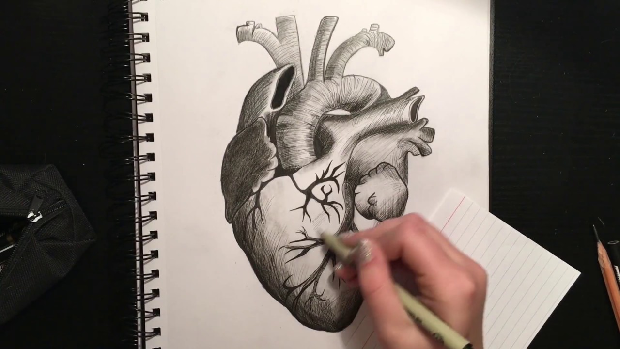 1280x720 How To Use Charcoal And Ink Together Human Heart Drawing - Ink Heart Drawing