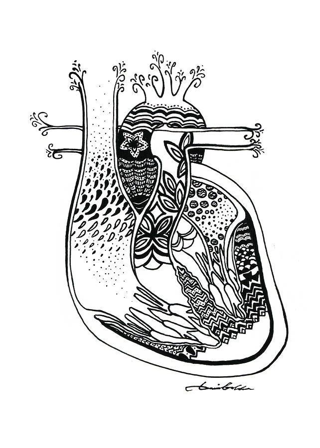 642x900 Ink Heart Drawing - Ink Heart Drawing