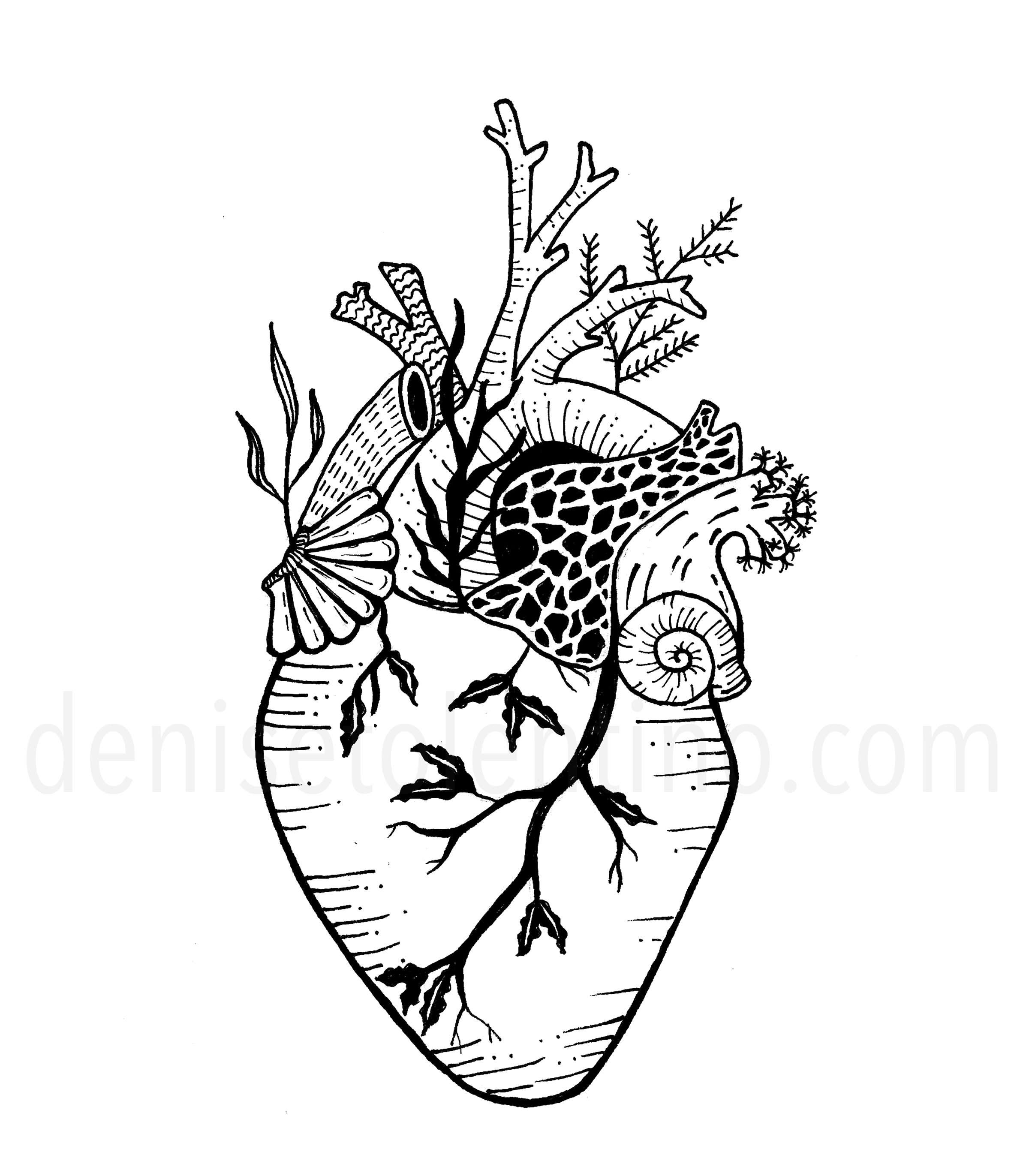 2400x2743 Ink Illustration Ocean Heart Drawn - Ink Heart Drawing