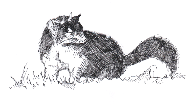 640x374 More Like Dustfinger Inkheart - Ink Heart Drawing