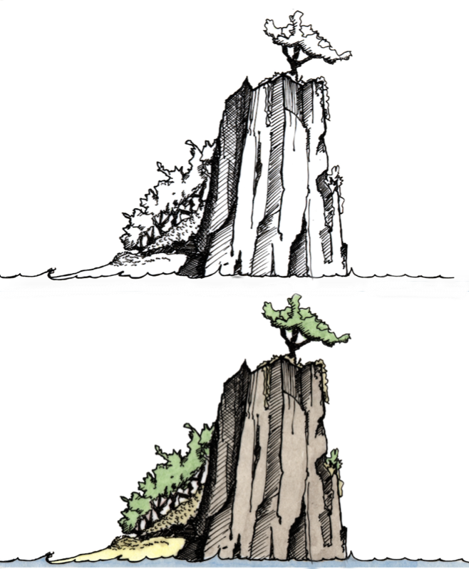 658x798 Tips For Painting Line Wash Arttutor - Ink Line Drawing