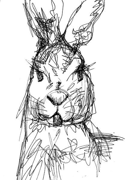 423x600 crazy hare pen and ink line drawing! l'art drawings, ink pen - Ink Line Drawing
