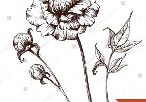 300x210 Ink Drawing Ideas Easy - Ink Pen Drawing Ideas