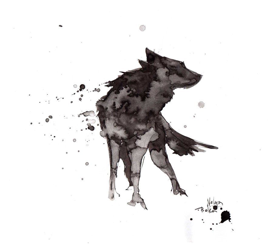 900x806  - Ink Wolf Drawing