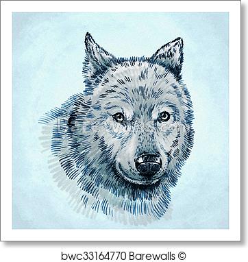 362x382 Art Print Of Color Engrave Ink Draw Wolf Illustration Barewalls - Ink Wolf Drawing