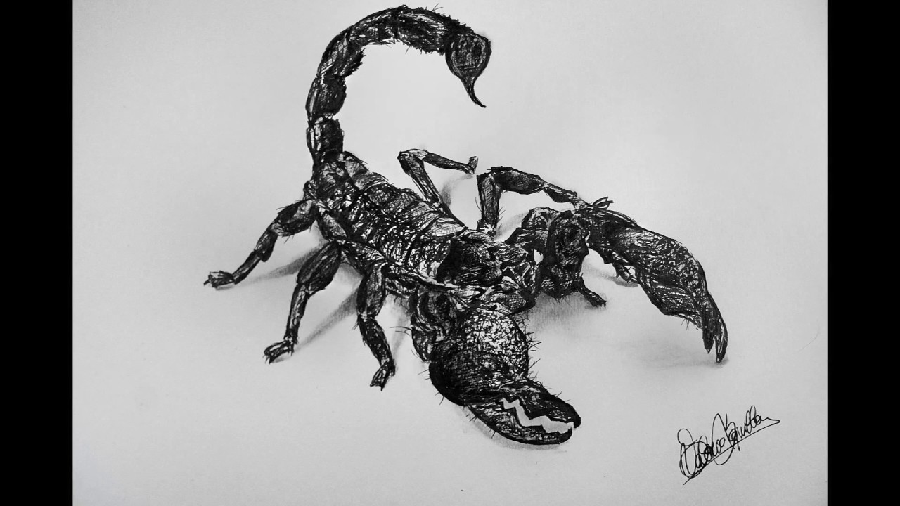 1280x720 Drawing Black Scorpion - Inkwell Drawing