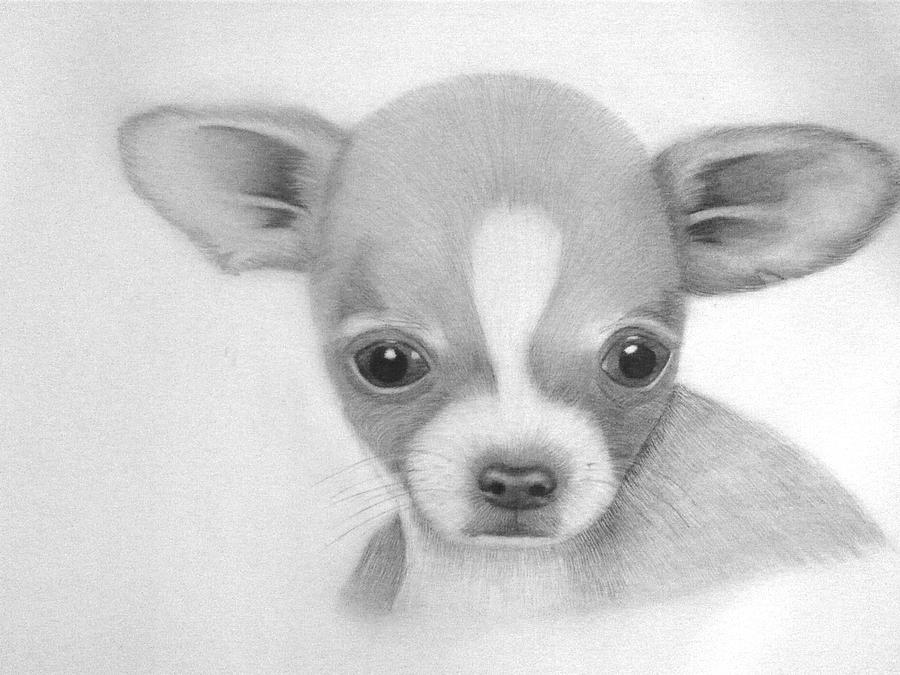 900x675 Innocent Drawing - Innocent Drawing