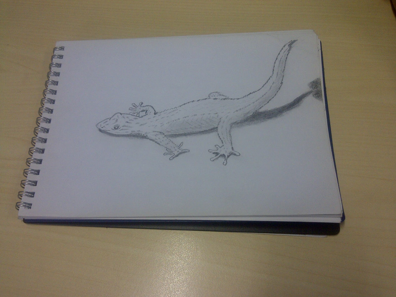 1600x1200 Very Easy Drawings To Draw - Innovative Drawings