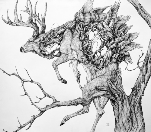 500x435 insane animal illustrations - Insane Drawings