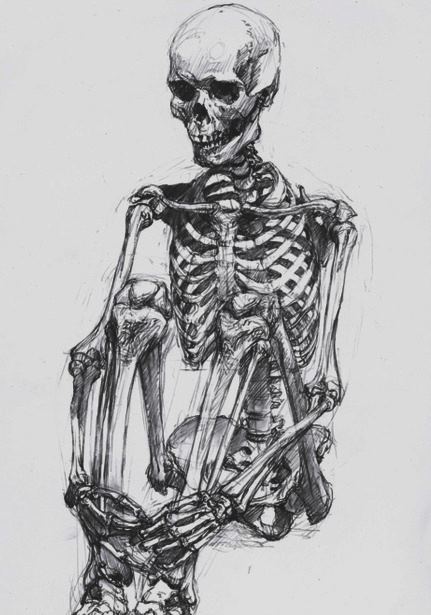 431x615 insane skeleton drawing drawing - Insane Drawings