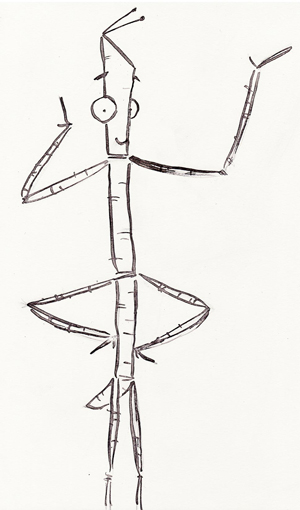 300x510 how to draw a stick insect booktrust - Insect Drawing