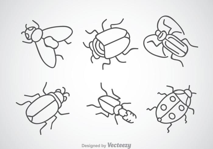 700x490 insect drawing icons - Insect Drawing