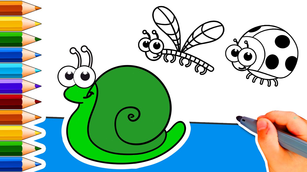 1280x720 Home - Insect Drawing For Kids