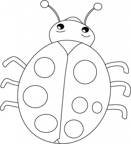 420x462 insect drawing for kids - Insect Drawing For Kids