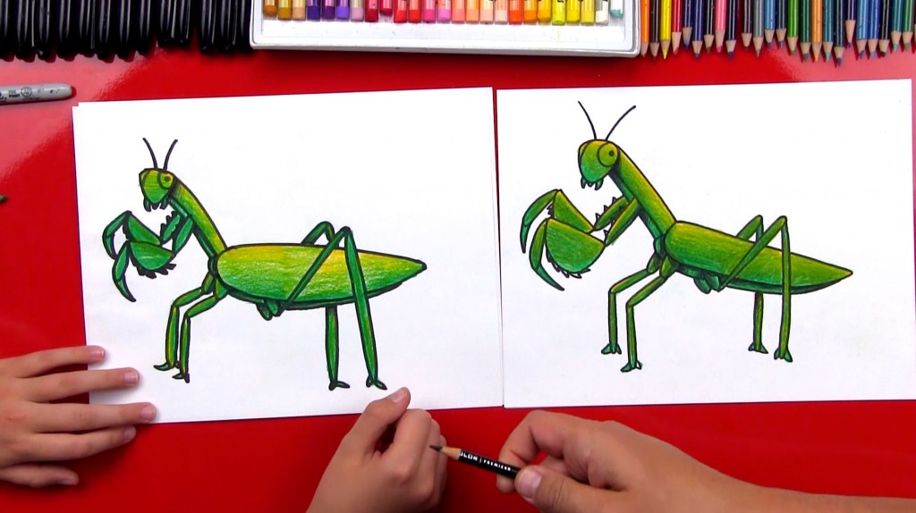 1024x574 Insects Archives - Insect Drawing For Kids