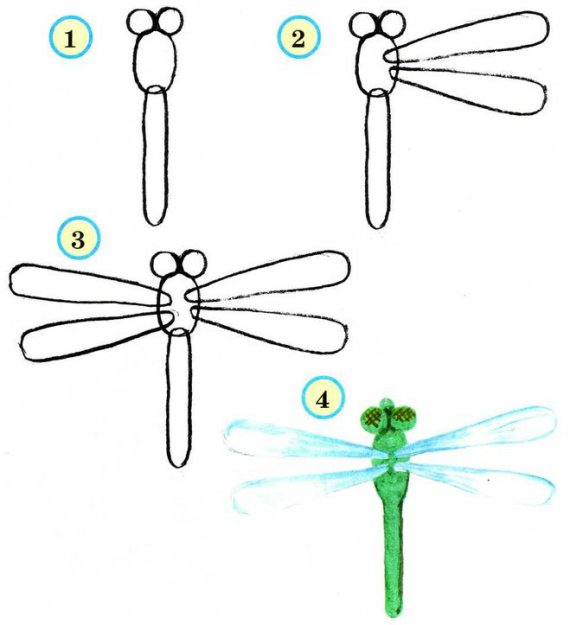 570x625 Step - Insect Drawing For Kids