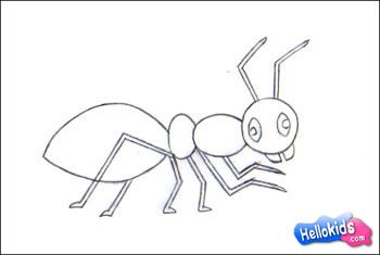 350x235 Step - Insect Drawing For Kids