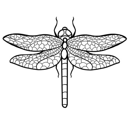 Insect Line Drawing at PaintingValley.com | Explore collection of ...