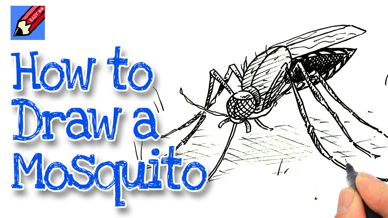 1280x720 how to draw a mosquito real easy - Insect Line Drawing