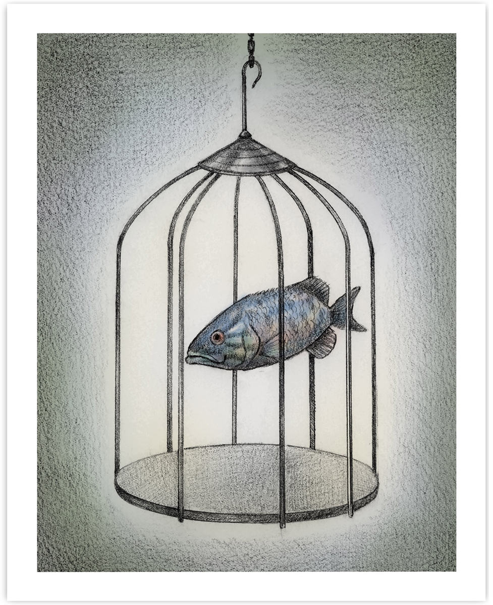 977x1200 Fish Cage Fine Art Print Conceptual Pencil Drawing Of A Fish - Inside Drawing