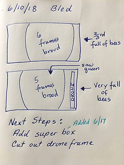 400x533 a visual approach to recordkeeping drawing your hive inspections - Inspection Drawing