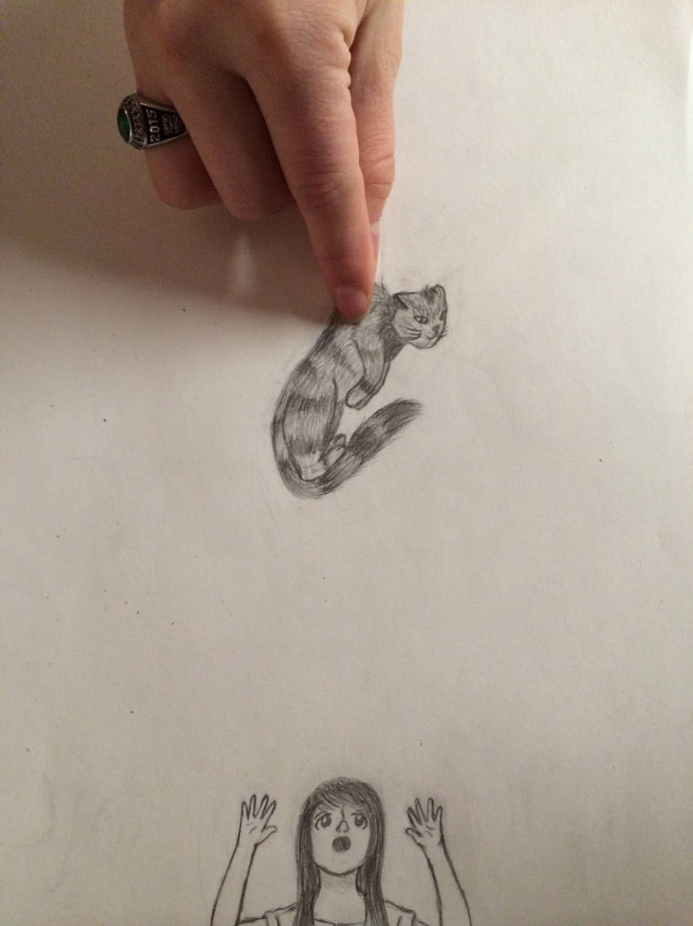 774x1033 Interactive Drawing - Interactive Drawing