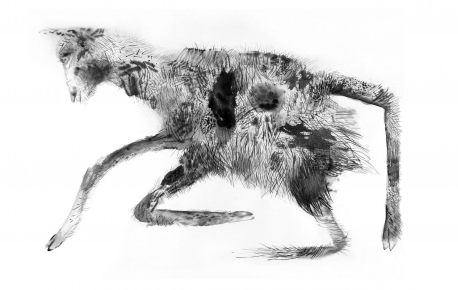 458x290 draw international - International Drawing