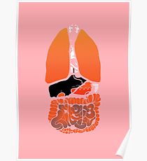 210x230 Intestines Drawing Posters Redbubble - Intestines Drawing